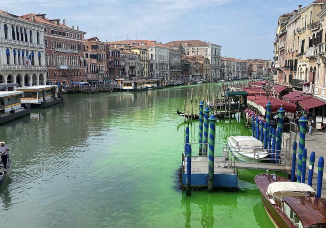 Venezia, acqua verde fosforescente sotto il ponte di Rialto: sopralluogo vigili del fuoco