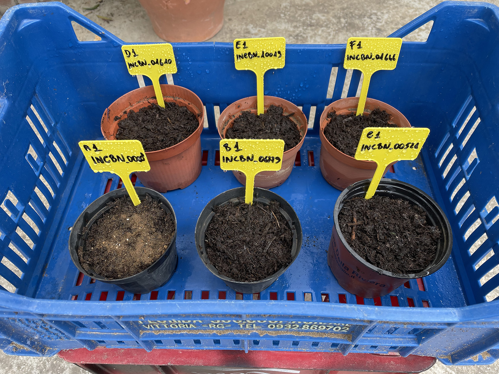 Cittadini e legumi “alleati” per la biodiversità