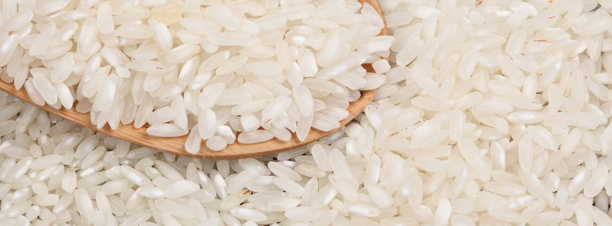 Italia, Coldiretti: -15% della produzione di riso