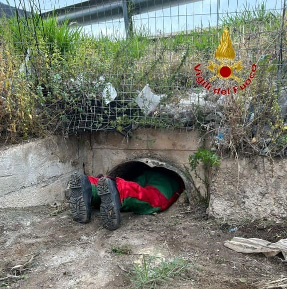 Villabate, vigili del fuoco recuperano cuccioli di cane abbandonati in un condotto