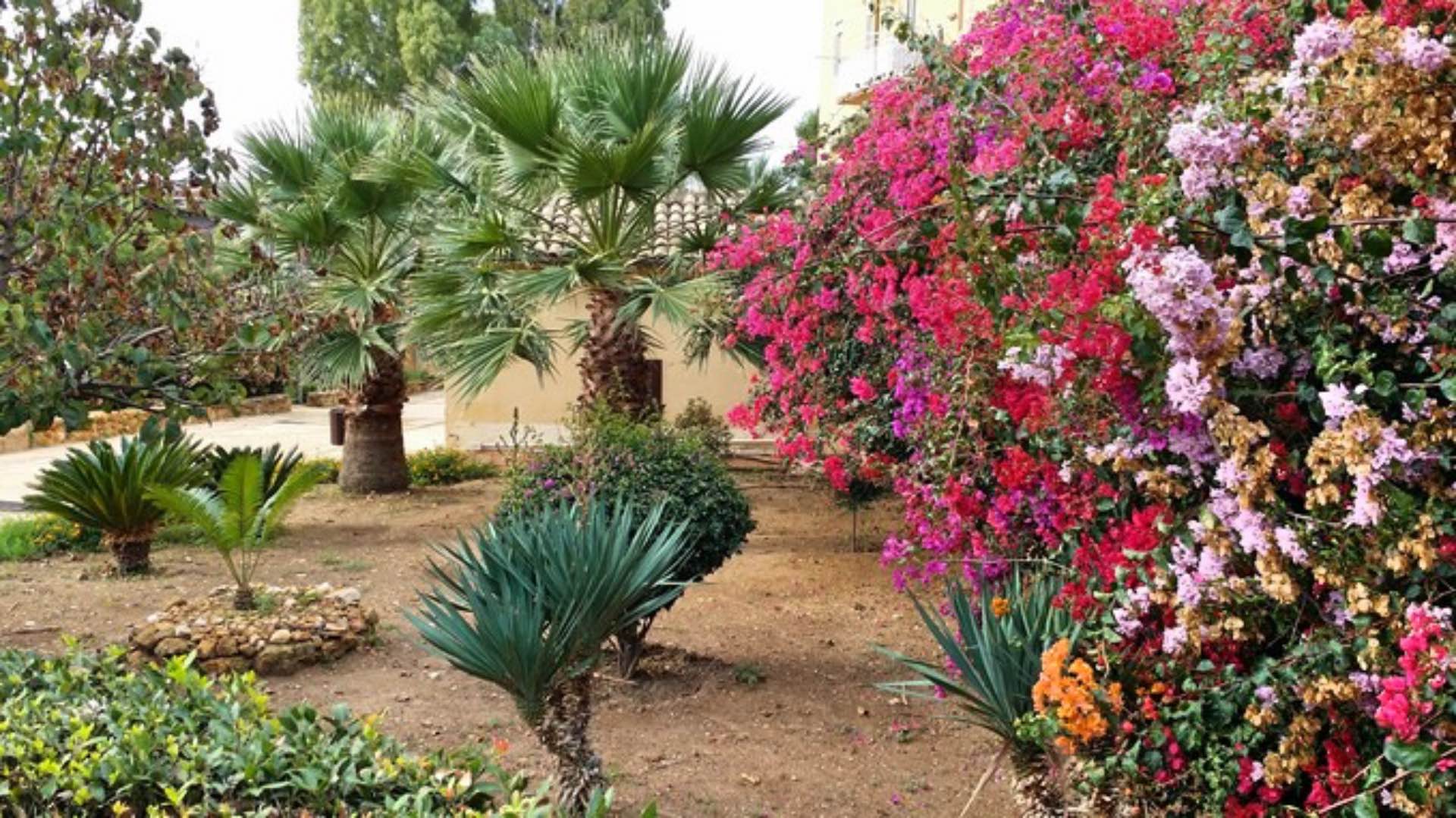 Agrigento,  siamo tutti nella stessa padella… chiamata Terra