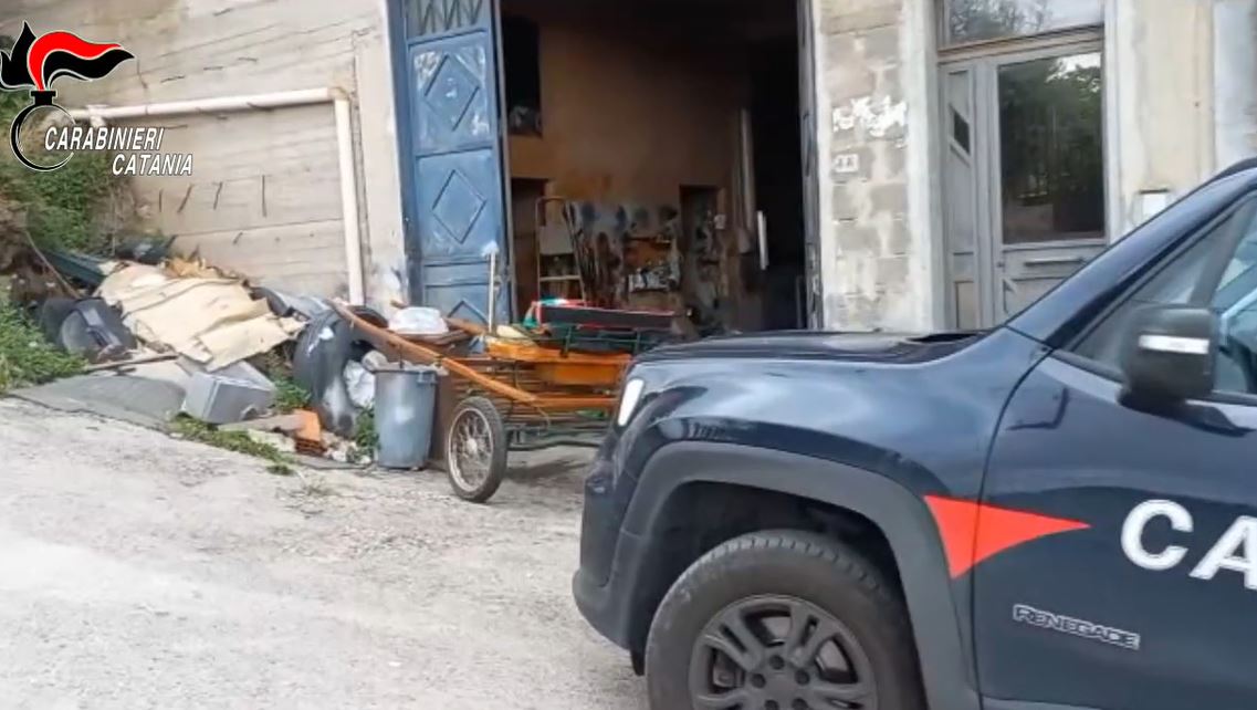 Corsa clandestina di cavalli sull’Etna, i video sui social e i cavalli maltrattati: ennesima denuncia