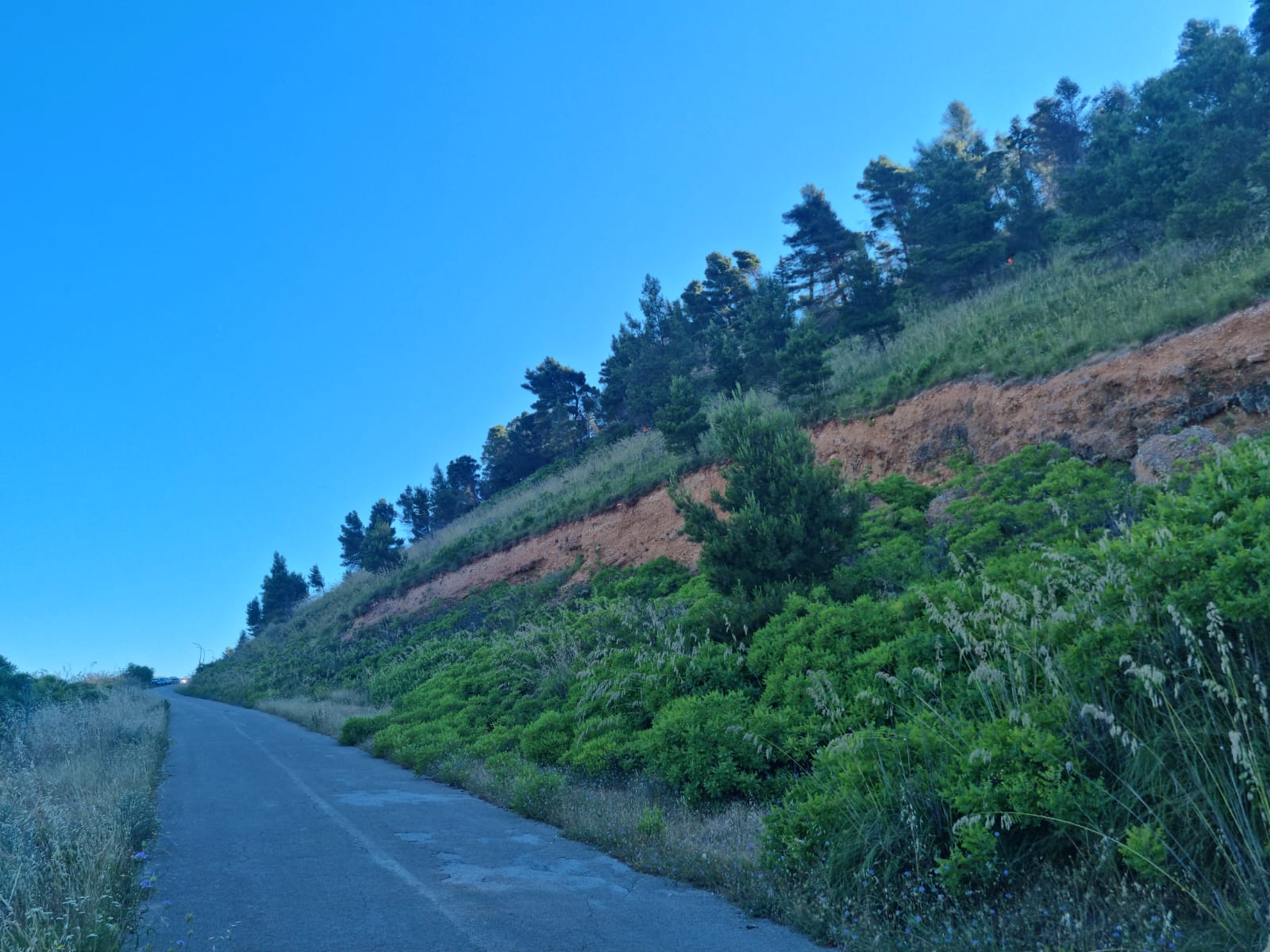 Dopo i danni dell’alluvione e dell’incendio, presto lavori per il monte del santuario della Madonna del Balzo