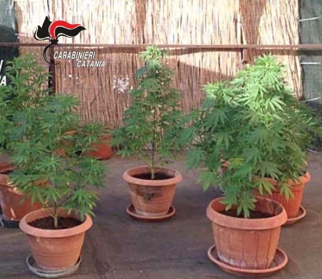 Gravina di Catania, spaccio stupefacenti: denunciato 29enne