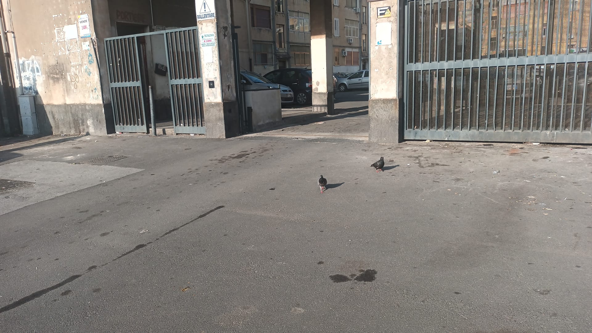 Catania, ancora discariche e rifiuti rimossi dagli operatori Catania, ancora discariche e rifiuti rimossi dagli operatori