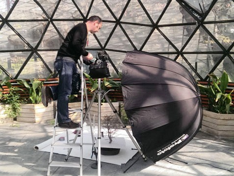 A Palazzo Scammacca arriva “La bellezza mostruosa degli alberi”