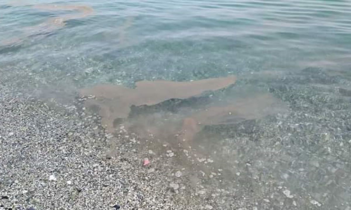 Depurazione, tutto tace sul commissario. E il naufragar m’è dolce in questa melma