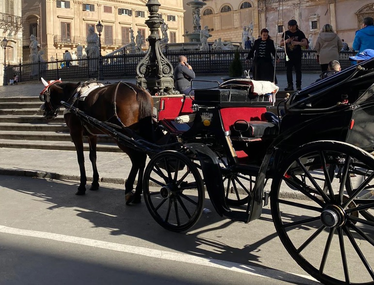 Palermo, cavalli e carrozze, scontro su alte temperature