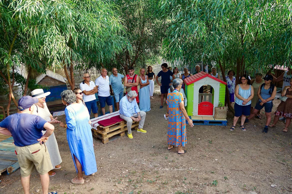 A Favignana oasi felina gestita da volontari