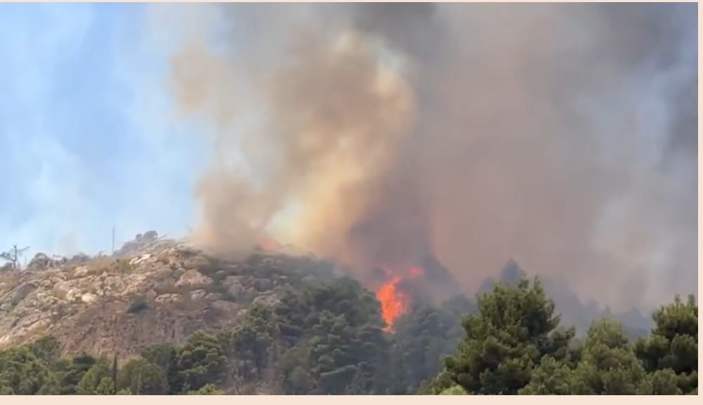 Incendi: bruciati oltre 50 mila ettari da inizio anno, l’80% in Sicilia