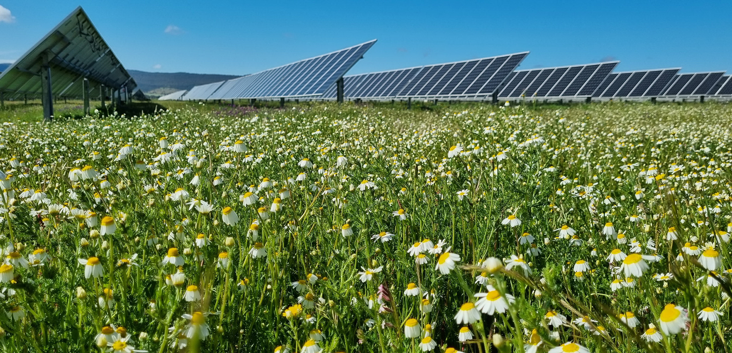 I continui disagi nella Piana di Catania, l’irrigazione è una lotta quotidiana