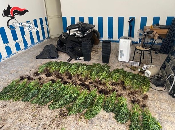 Intervengono per incendio e scoprono serra marijuana: un arresto