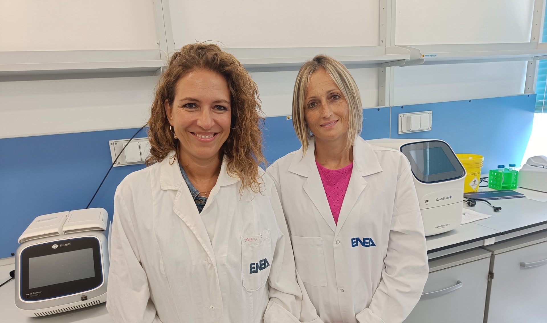 Melagrana antinfiammatorio naturale per il fegato