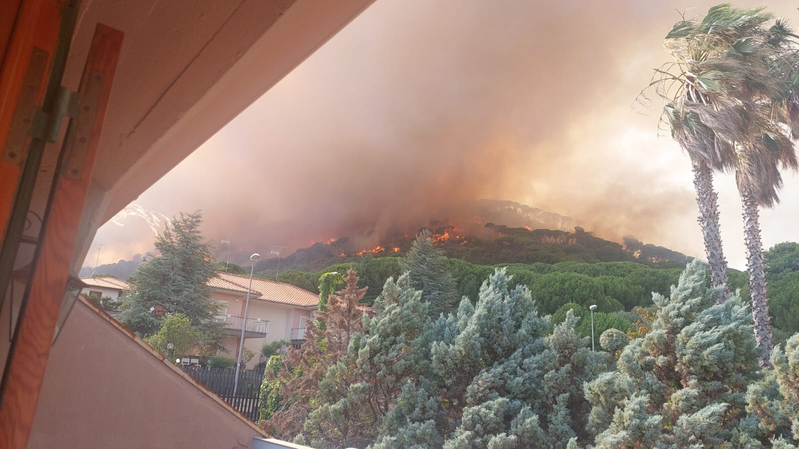 Sicilia in fiamme, il report dei vigili del fuoco: a Catania 100 interventi in coda