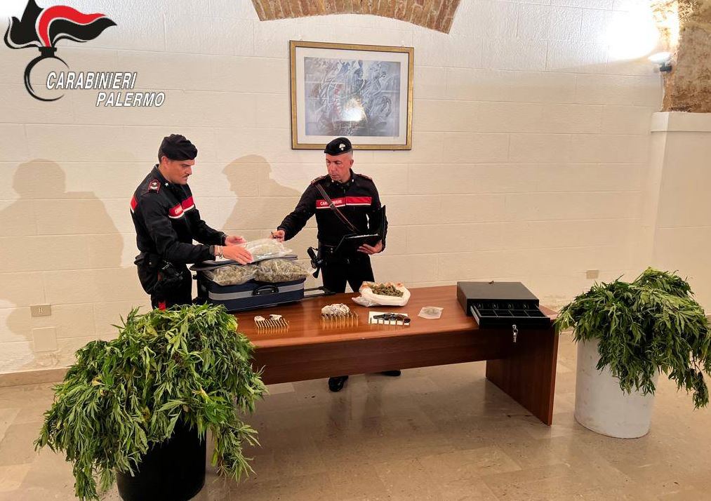 “Collezione” di munizioni e serra di marijuana in casa: due arresti a Borgo Nuovo – VIDEO