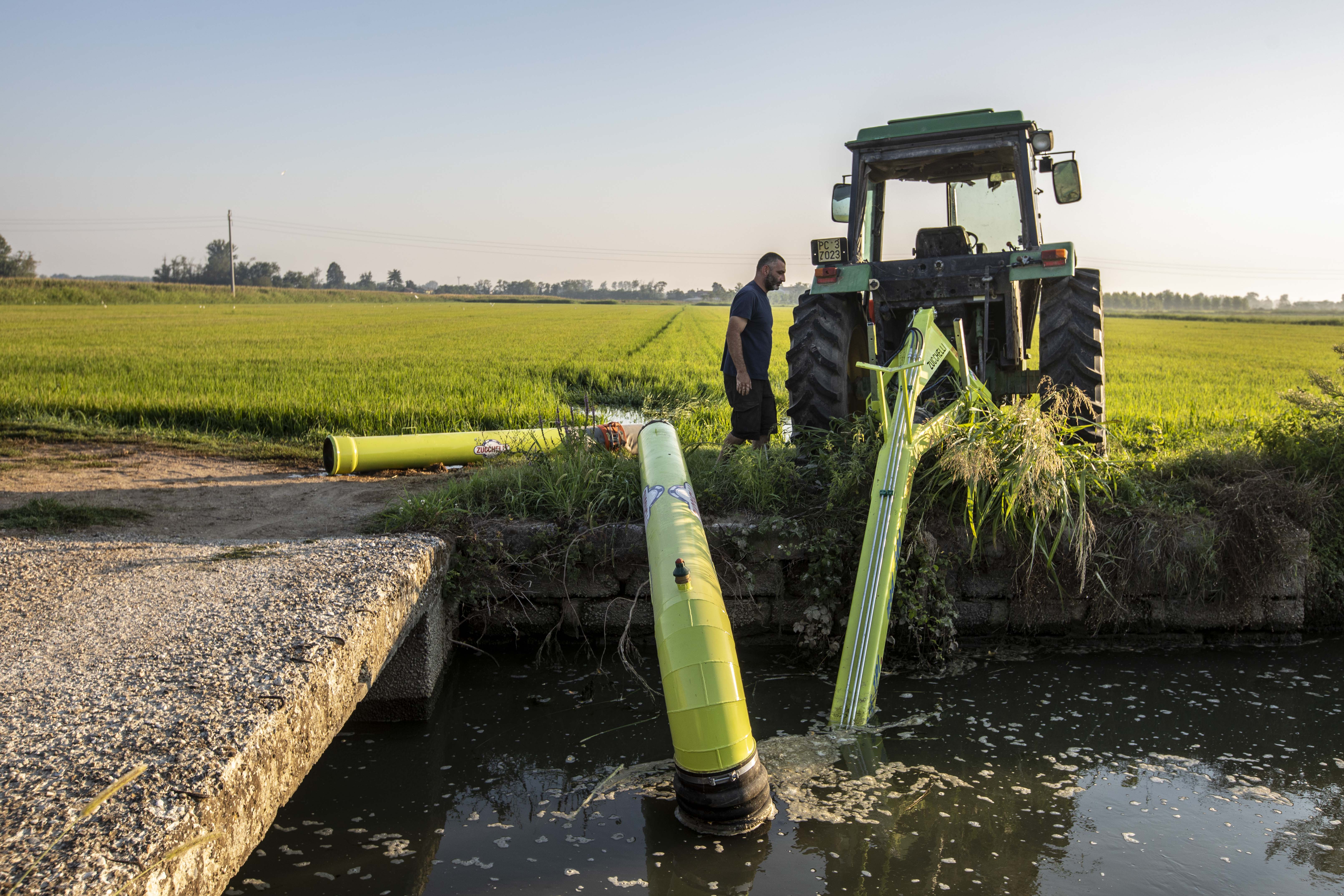 Poca pioggia e temperature anomale, in Sicilia scatta l’allarme siccità Poca pioggia e temperature anomale, in Sicilia scatta l’allarme siccità