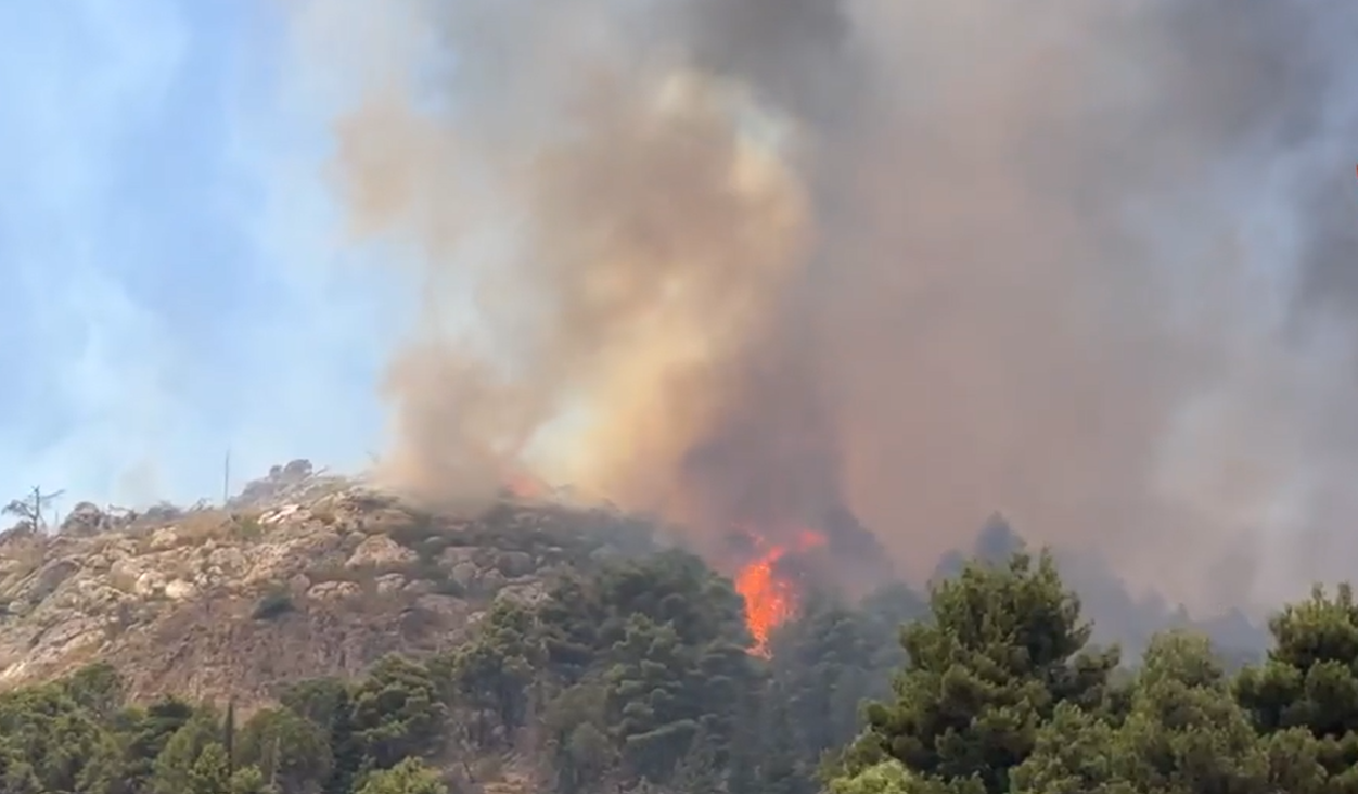 La provincia di Palermo tormentata dagli incendi: il più grave a Monreale