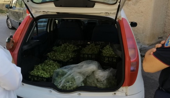 Da Catania a Noto per rubare l’uva, fuggono e si schiantano in autostrada: il “colpo” è un flop