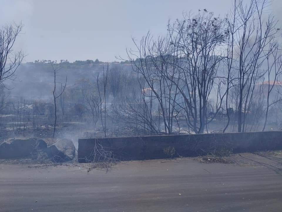 Incendi in Sicilia: il report degli interventi sull’Isola