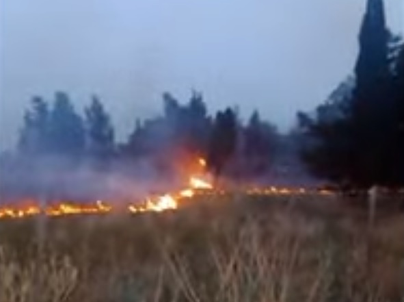 Incendi a Catania, fiamme anche in zona Primosole: “Ora basta, ci sentiamo abbandonati”