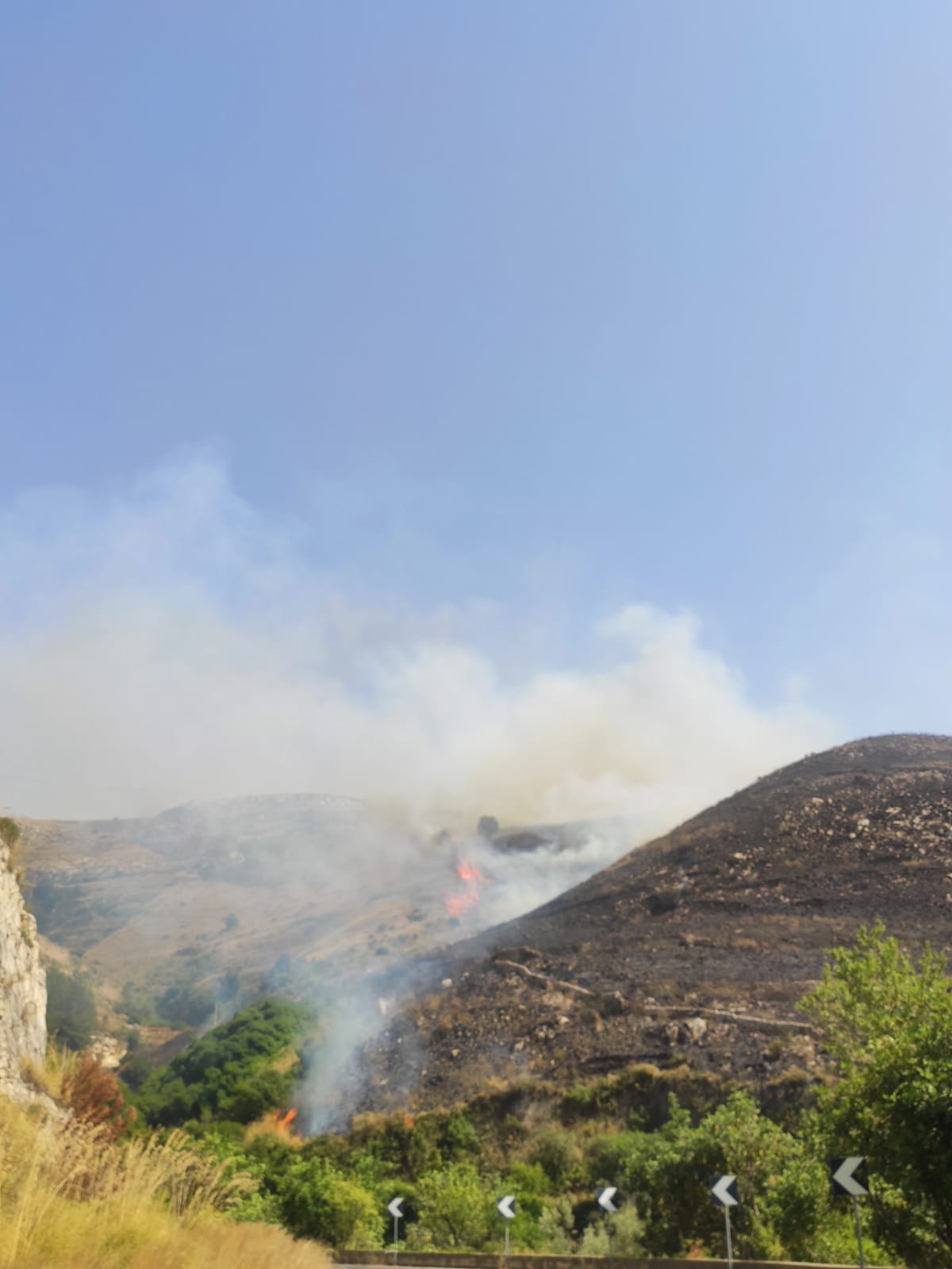 Vittoria, maxi incendio alla Riserva dei Pini d’Aleppo – VIDEO