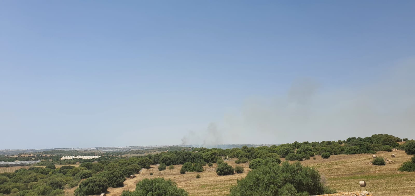 Vittoria, maxi incendio alla Riserva dei Pini d’Aleppo – VIDEO