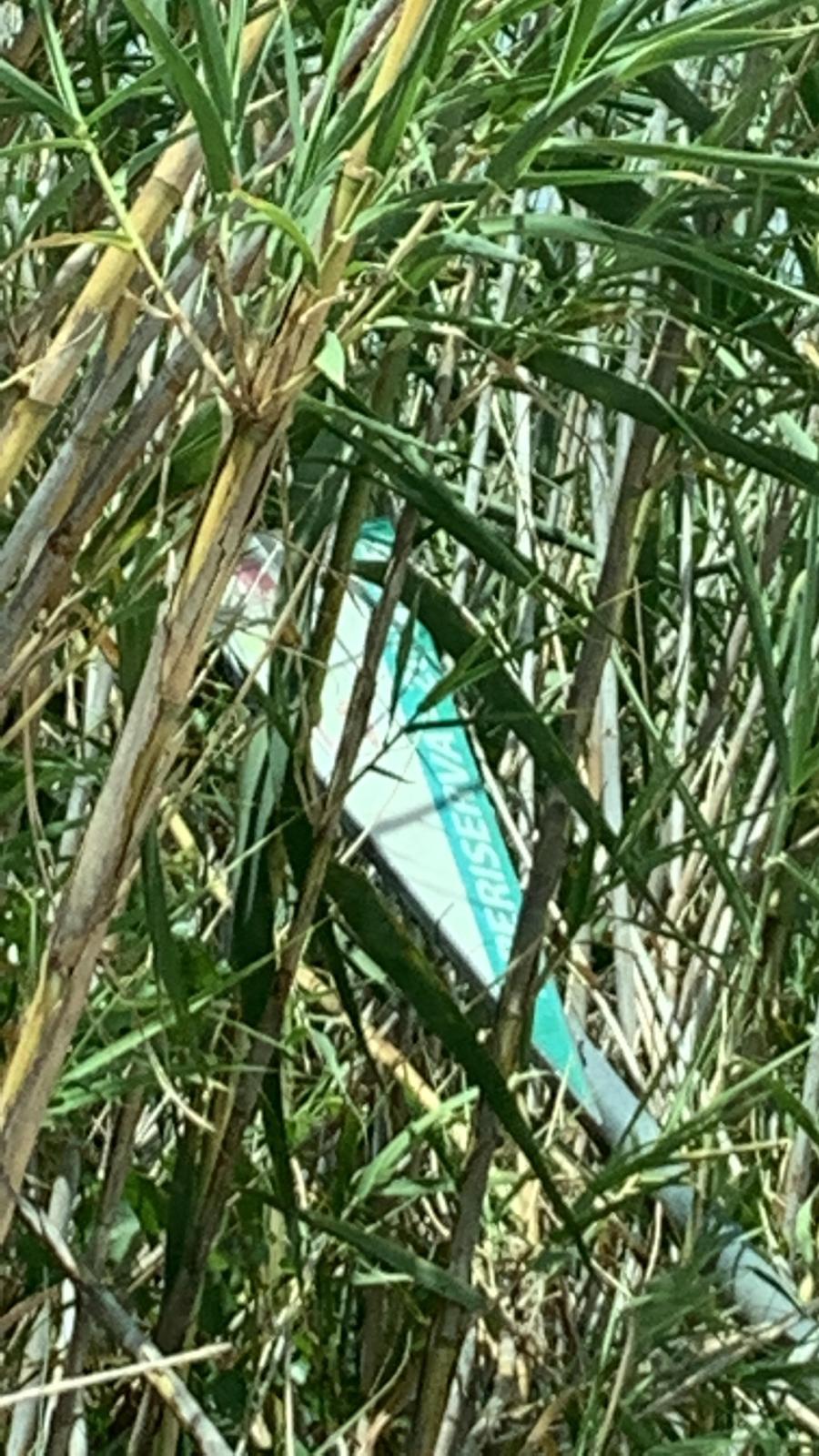 Vittoria, maxi incendio alla Riserva dei Pini d’Aleppo – VIDEO