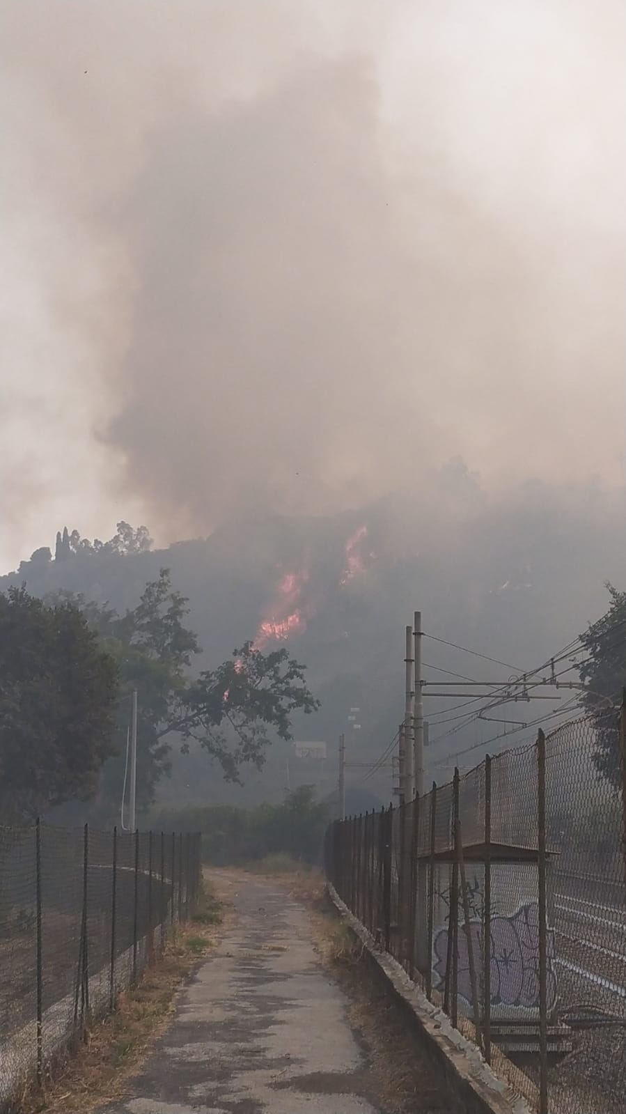 Sicilia in fiamme, il report dei vigili del fuoco: a Catania 100 interventi in coda
