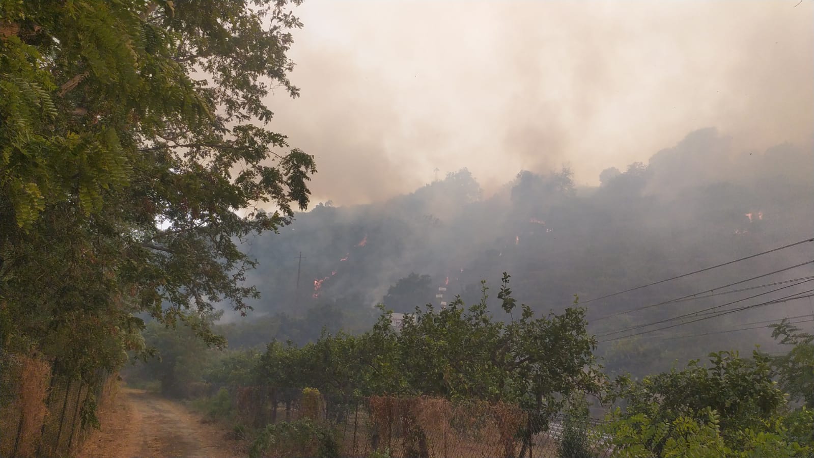 Sicilia in fiamme, il report dei vigili del fuoco: a Catania 100 interventi in coda