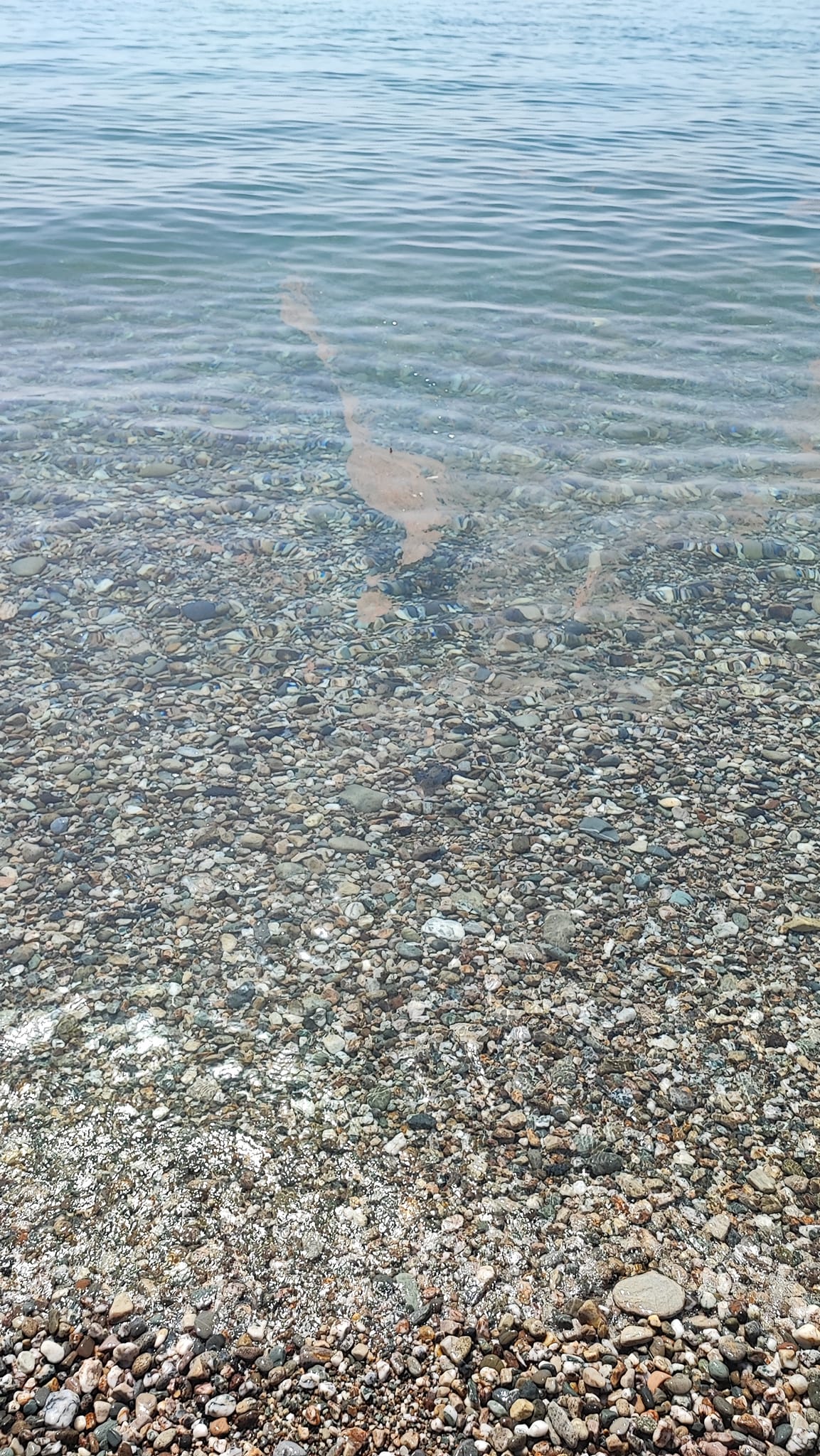 Mare inquinato a San Marco-Fiumefreddo: acqua piena di chiazze marroni