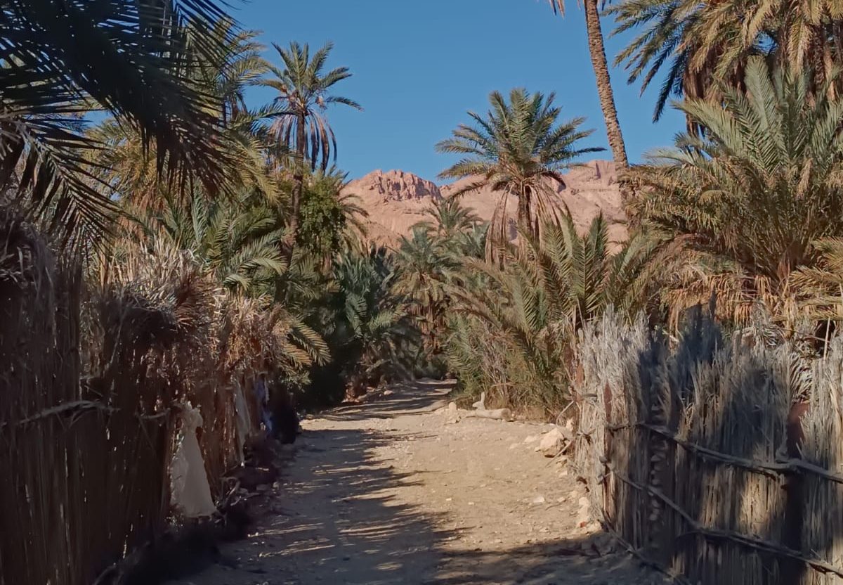 Per la speranza ci vuole Costanza