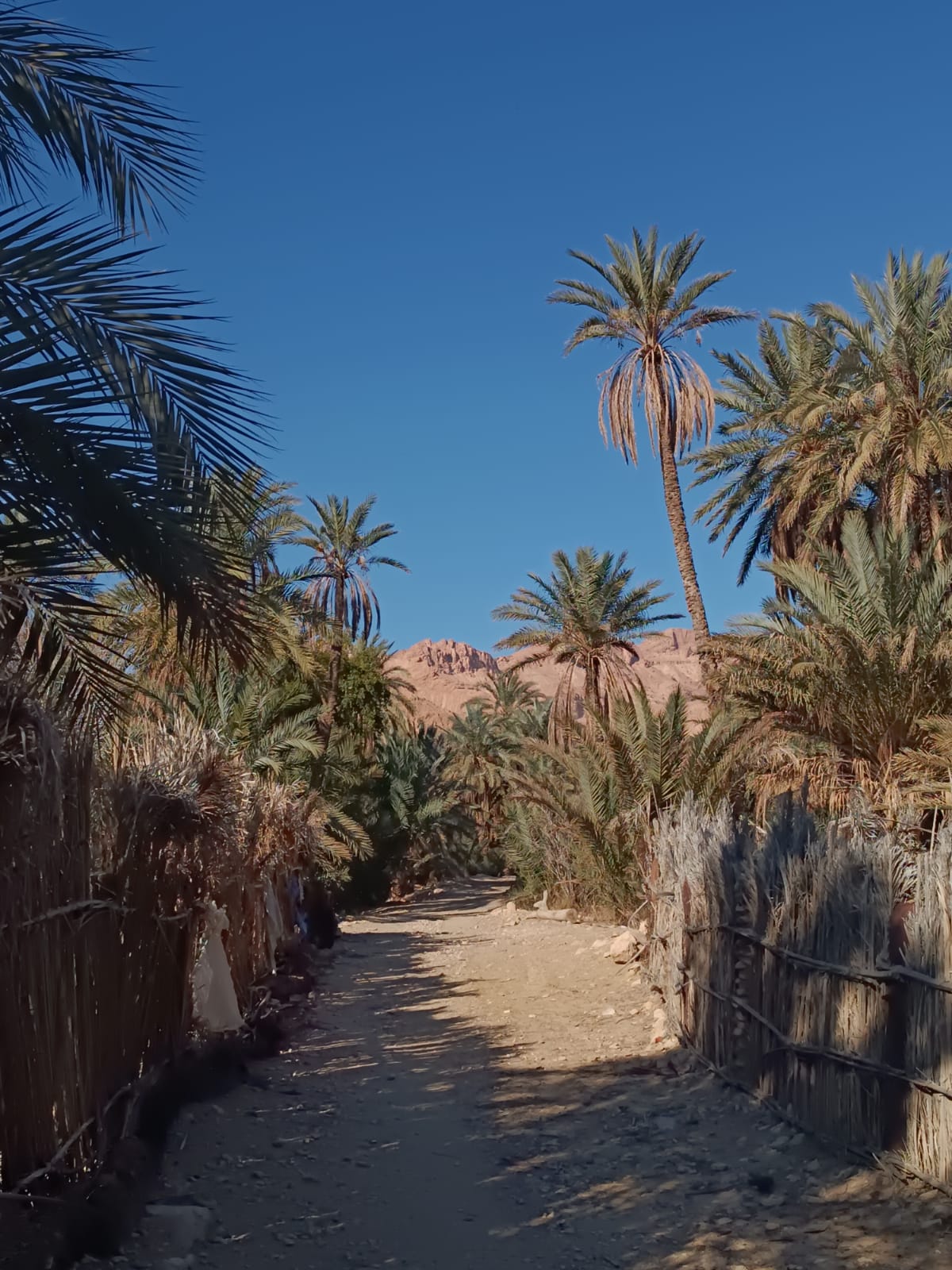 Per la speranza ci vuole Costanza