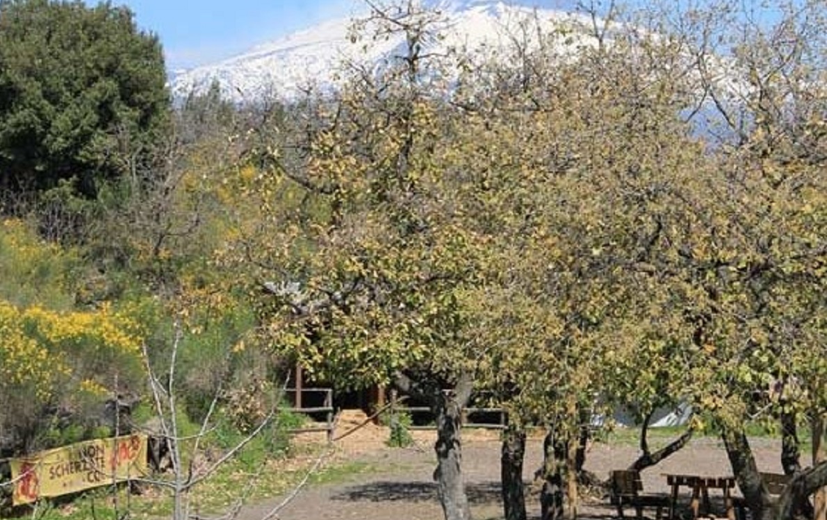 Tra incendi, rifiuti e piromani: la lettera per “salvare” il Parco Bosco di Monte Ceraulo