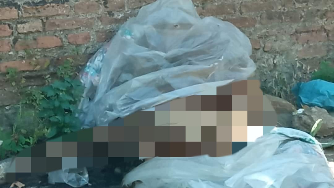 Pony senza vita, chiuso dentro un sacco e buttato sul ciglio della strada Pony senza vita, chiuso dentro un sacco e buttato sul ciglio della strada