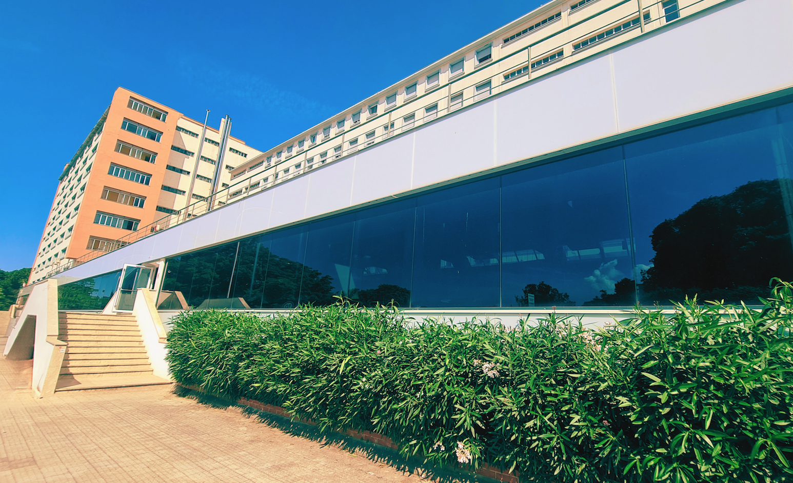 Come partecipare al Bando di concorso ERSU Palermo per il prossimo anno accademico 2023/2024