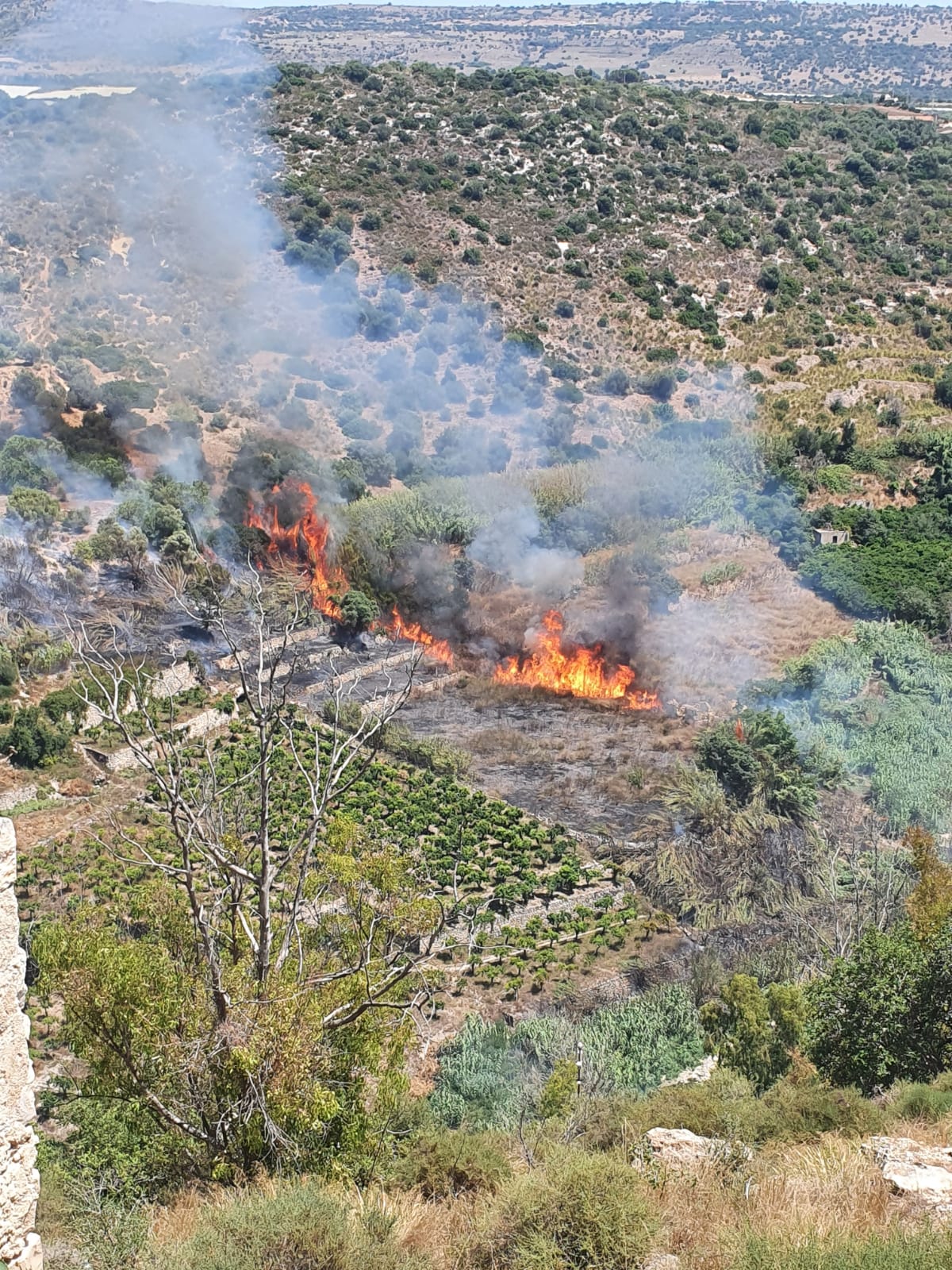 Ragusa in fiamme: incendi e fuoco nella provincia iblea