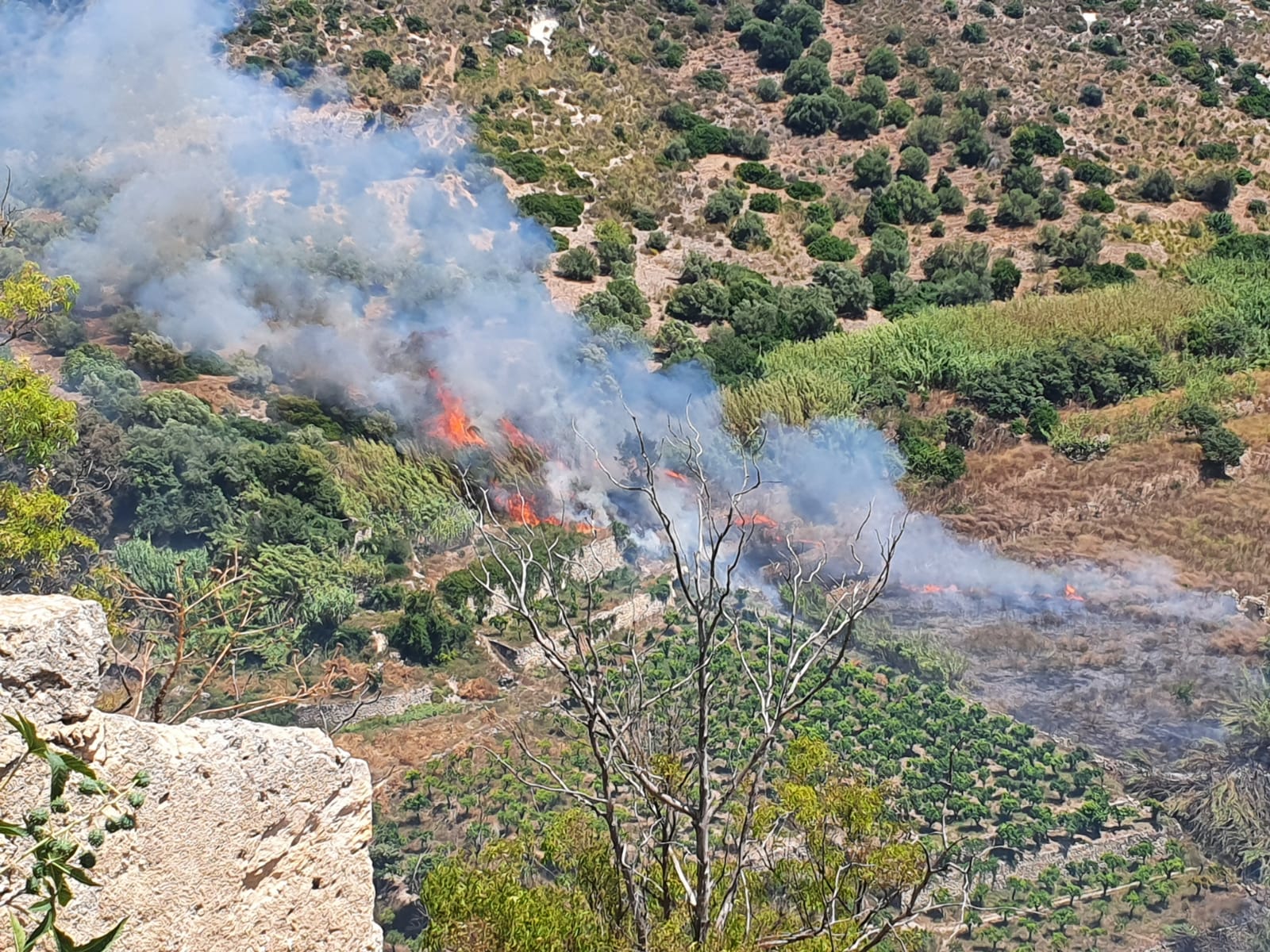 Galleria foto 'Ragusa in fiamme: incendi e fuoco nella provincia iblea' - foto 4