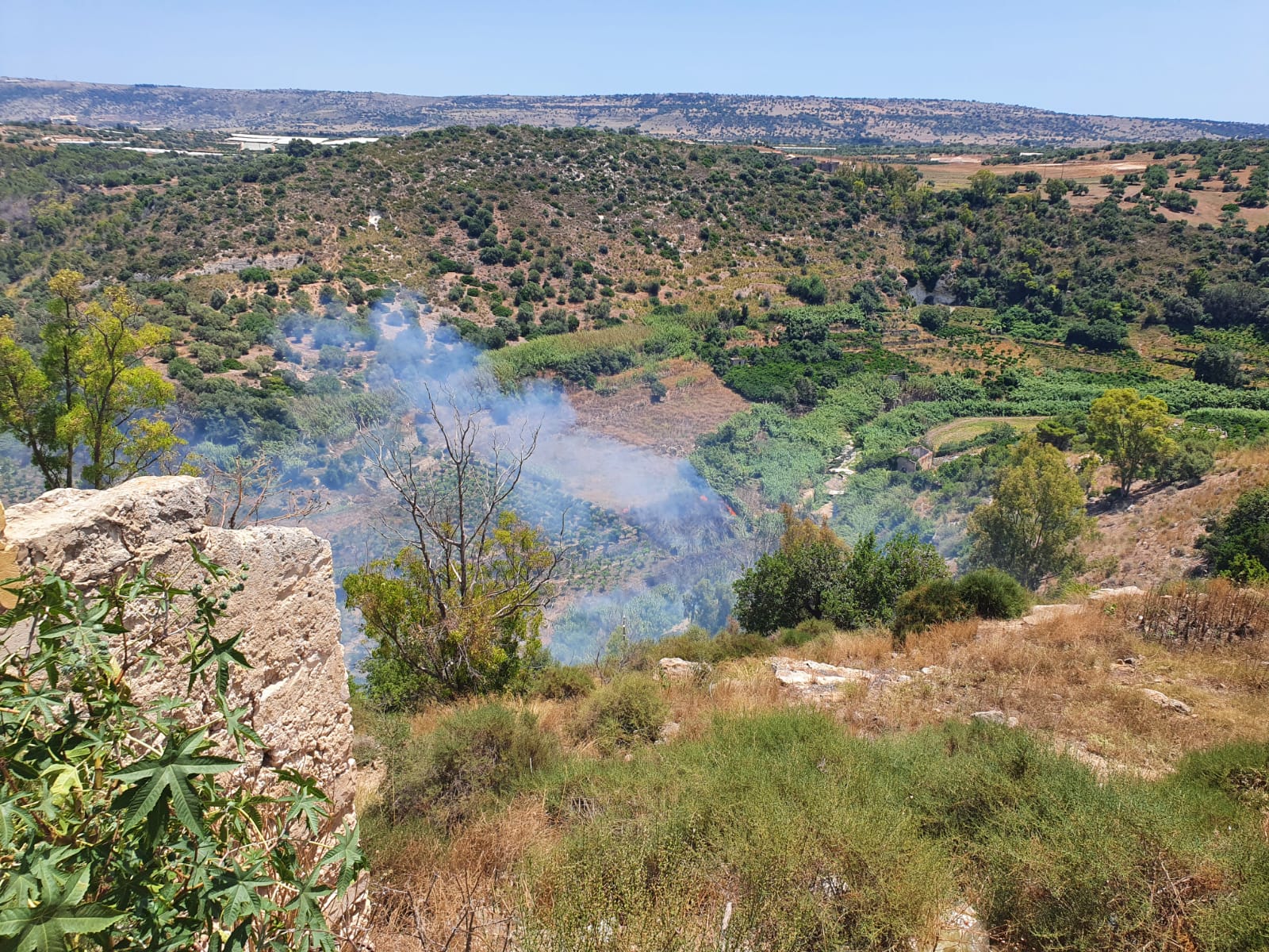 Ragusa in fiamme: incendi e fuoco nella provincia iblea