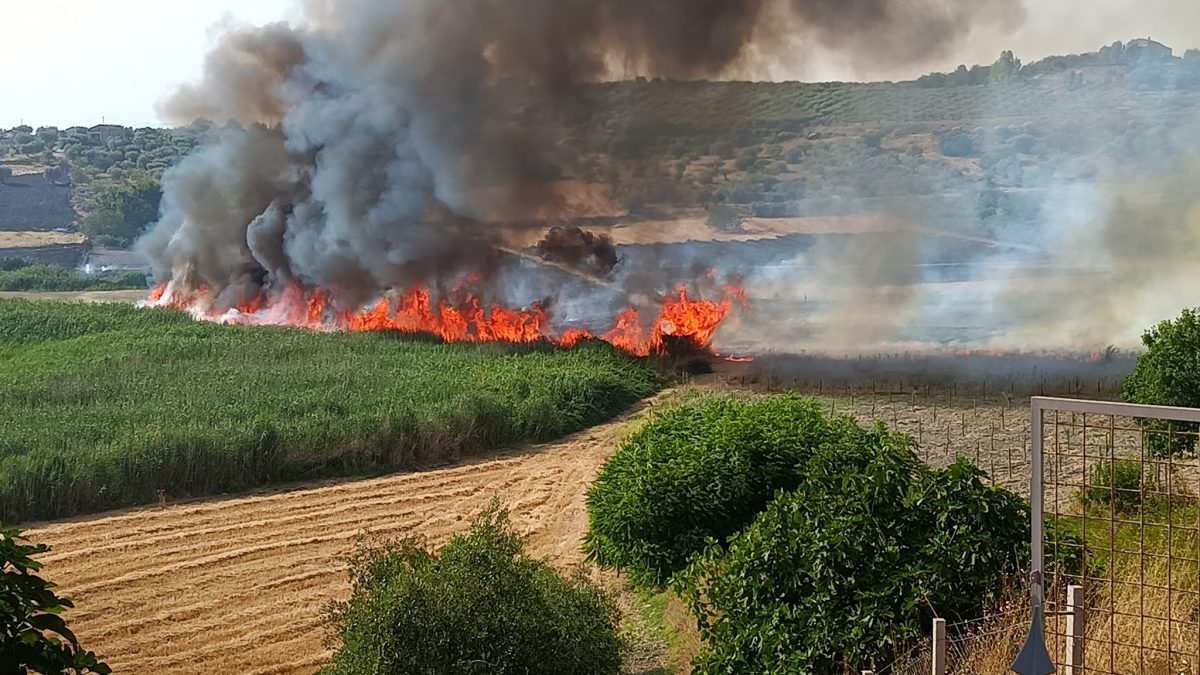 La Riserva naturale di Serradifalco distrutta da un terribile incendio: “Tanta tristezza”