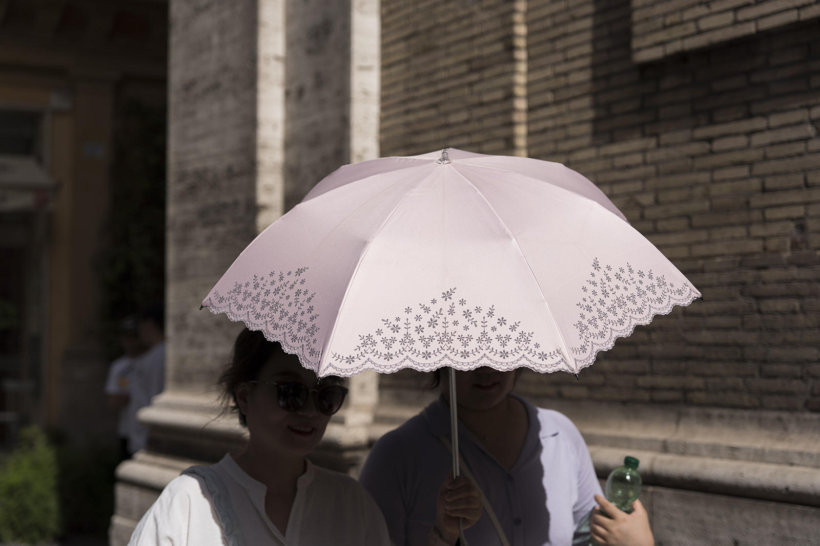 Caldo record e verde flop, alla Sicilia “africana” servono milioni di alberi