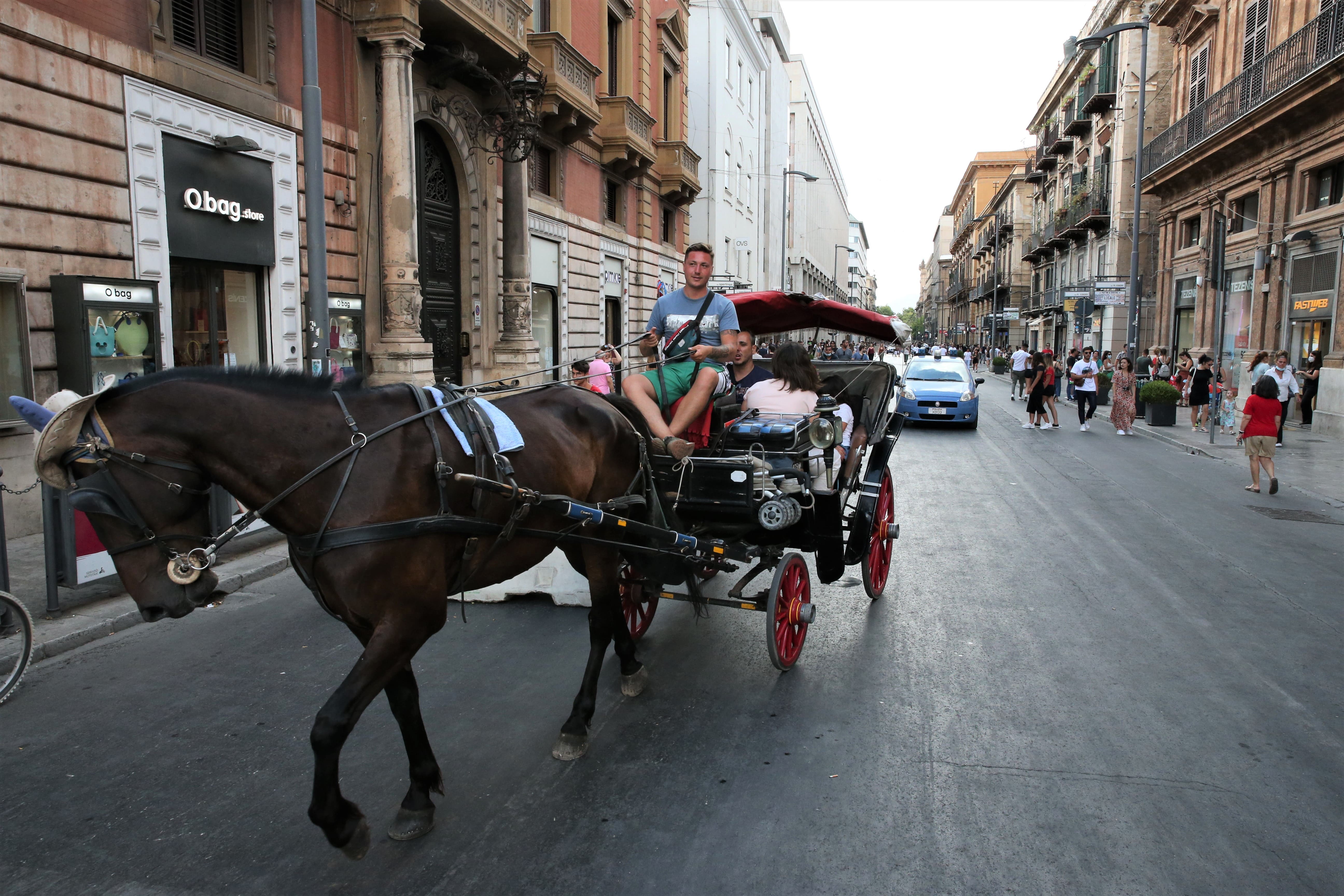 Caldo a Palermo, arriva l’ordinanza a tutela dei cavalli che trainano le carrozze