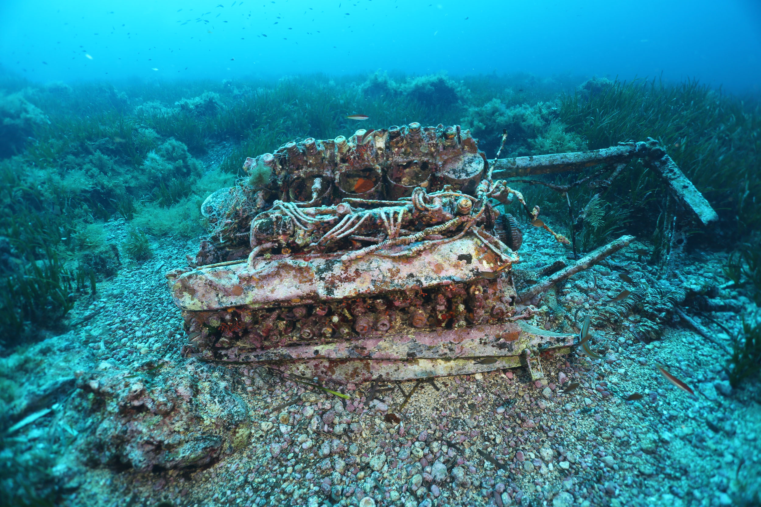 il motore dell'Aermacchi 202_photo Salvo Emma