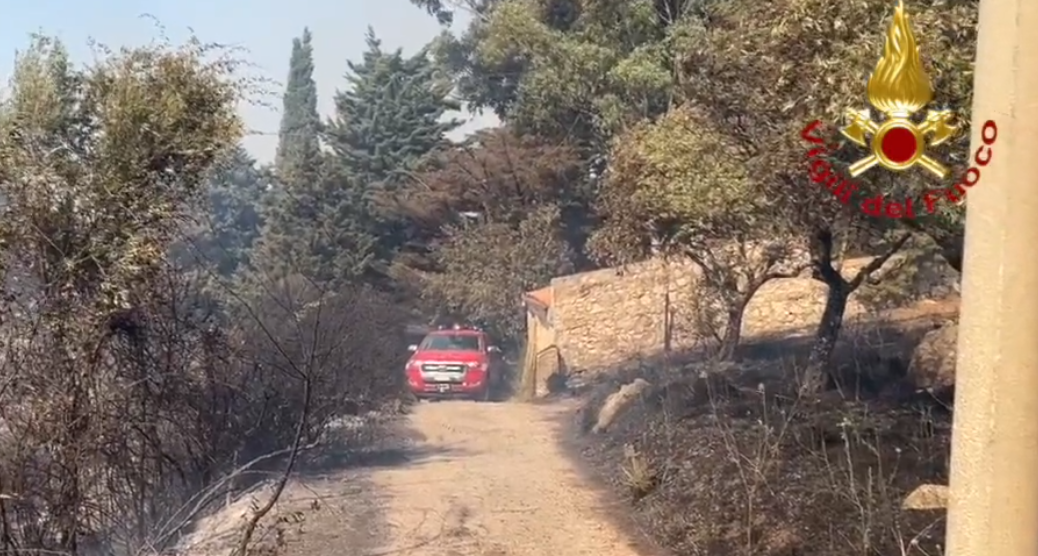 Incendi, Coldiretti Sicilia: “Danno ambientale incalcolabile”