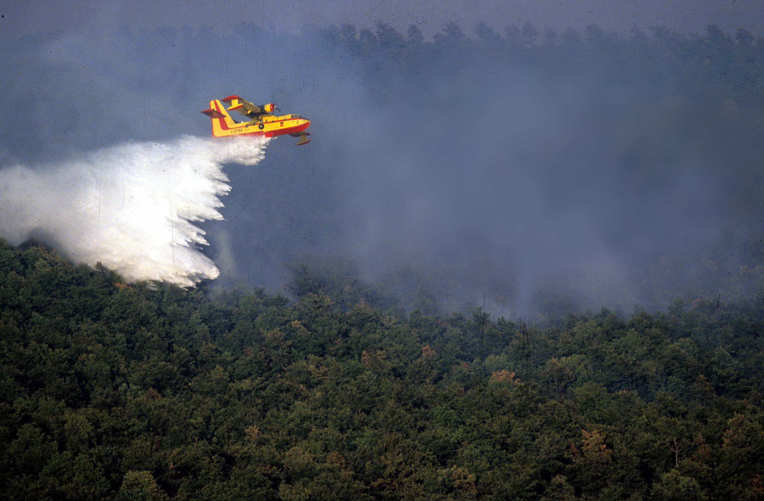 Incendi, nel 2022 dimezzati gli ecosistemi boschivi: più della metà in Sicilia