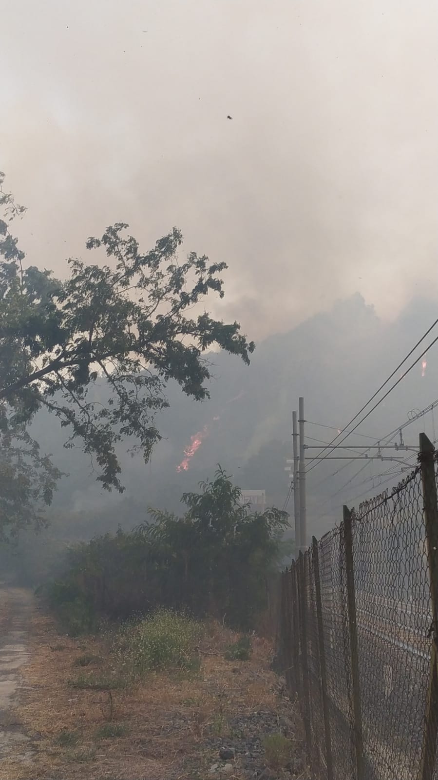 Sicilia in fiamme, il report dei vigili del fuoco: a Catania 100 interventi in coda