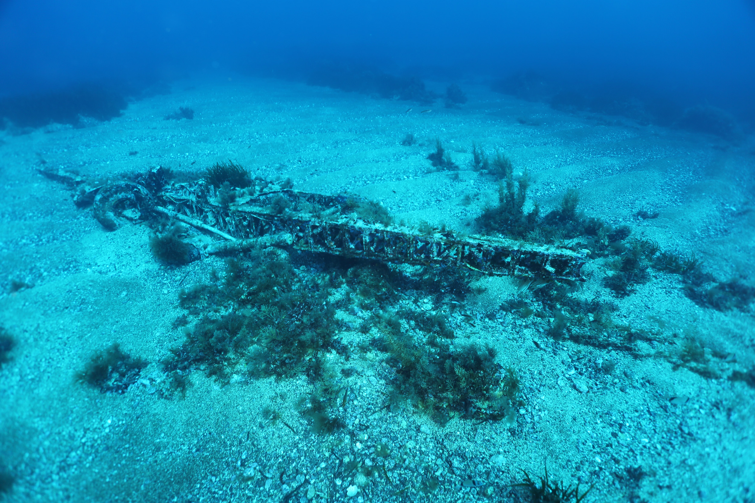 l'ala dell'Armacchi 202 sul fndale di 30 metri a Pantelleria