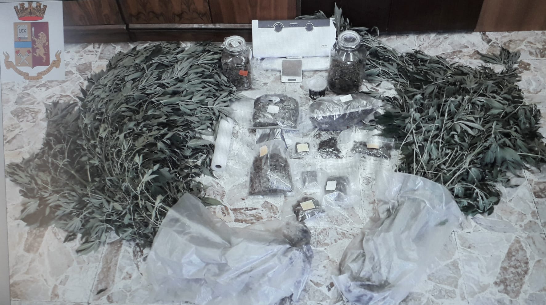 Piantagione di cannabis “a due passi” dall’ospedale di Acireale: un arresto