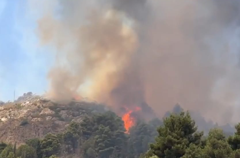 Estate “nera” in Sicilia, inizia la conta dei danni. Legambiente: “Un incendio costa 350mila euro”