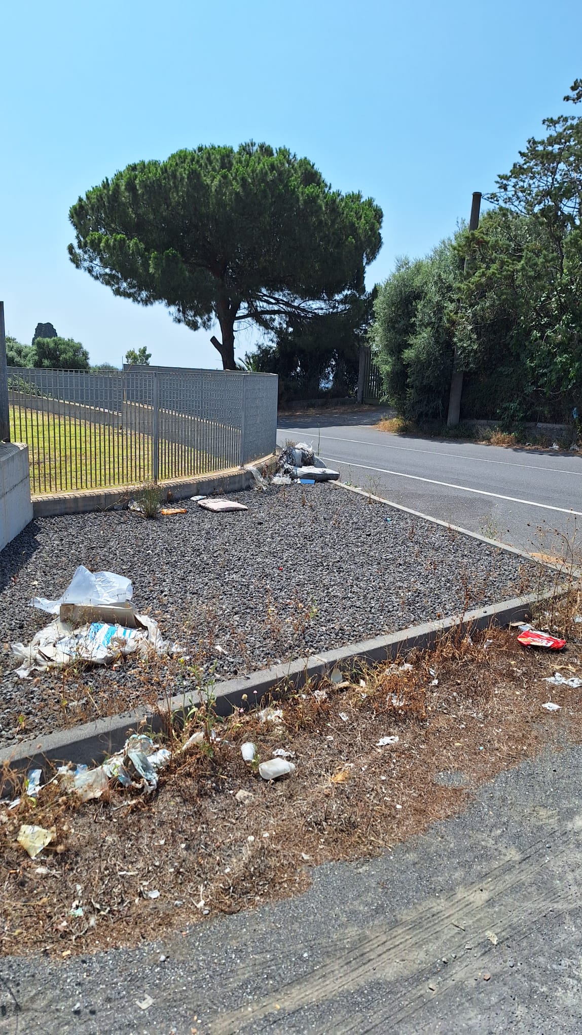 Catania, rifiuti in strada vicino ospedale San Marco (FOTO) Catania, rifiuti in strada vicino ospedale San Marco (FOTO)
