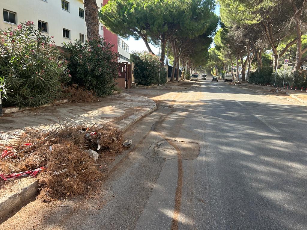 Allarme diossina ma riapre la terza vasca bis